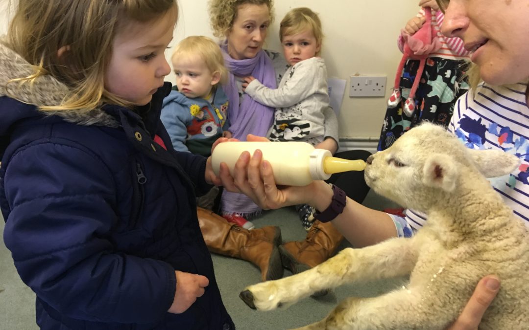 Toddler Blog May 2019